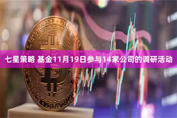 七星策略 基金11月19日参与14家公司的调研活动