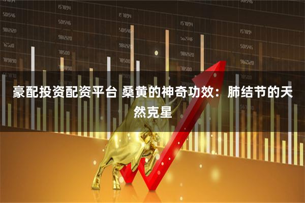 豪配投资配资平台 桑黄的神奇功效：肺结节的天然克星