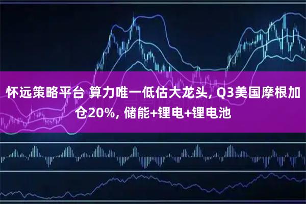 怀远策略平台 算力唯一低估大龙头, Q3美国摩根加仓20%, 储能+锂电+锂电池