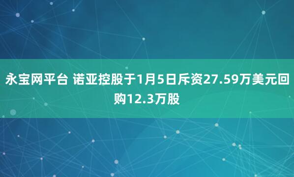永宝网平台 诺亚控股于1月5日斥资27.59万美元回购12.3万股